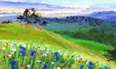 处男如何构想理想婚姻生活?