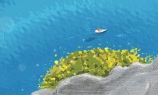 揭秘星座并探究血型:深入探讨双子座A型血男人的性格特点与行为习惯