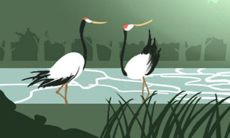 从十二星座的角度看爱情:现实观的多样性与不同表现方式