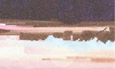 错嫁后也能找到幸福的金牛座女生:她们是如何走过困境,寻找真爱的?