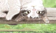 12星座女士应该怎样才能够成功挽回出轨丈夫的心?