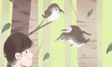 哪个更为可靠,星座预测还是生肖占卜?