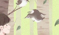 根据十二生肖不同性格特征的分析结果编写的详尽函!