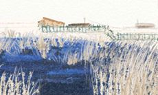 哪些星座会患上自大的公主病?探讨12星座中的骄傲症候群