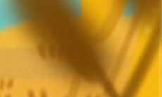 水瓶座人生中最适合扮演的角色:一份完美指南