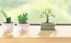 四种血型之间互相辅佐的方式是什么?