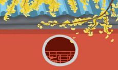 为什么男性的四种血型会展现出不同的个性特征,从而影响他们作为丈夫的行为和决策?