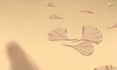 揭秘狮子座女生的打造完美容颜的绝妙秘笈