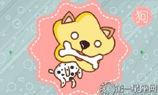 为何处于狗年属狗的人不愿意接受你的爱情表白?