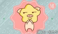 为什么属猪的人会不同意你的告白?