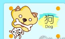 为何狗年出生的人在情感生活中常常陷入僵局?