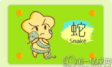为何蛇年生肖的人在恋爱中会遭遇僵局?