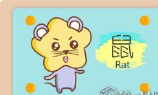 为什么属鼠的人在爱情中会陷入僵局?