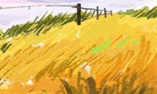 揭秘双鱼座屌丝独特的特征和个性特质,深度剖析其内在动机和行为模式