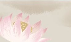 切勿触碰双子座感情地雷:探索星座界最难以洞察的双子座情感世界