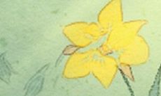 金牛座如何应用其独特特质在职场中取得成功?