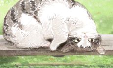 掌握这三大招数,让12星座女生的婚恋运势得以转运和提升