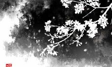 在线免费测试:让TA上瘾的最佳特质是什么?发现你在TA眼中最优越的优点!