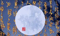 来试试吧!测试小游戏:揭示你神秘的长相元素!