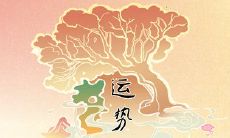 2023年属猴人的第一运程解析:详尽查询完整版!