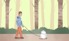 在秋季,你容易在哪些方面出现失败或挫折的测评