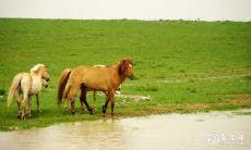 通过微观的预测来揭示属马人在2023年3月2日之后的吉凶运势