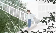 探寻福建土楼:一个千年文化遗产的故事,记录世界历史与传统文化的珍宝