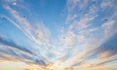 命中注定要依赖妻子谋财路的生肖男,天赐有着卓越经商头脑的生肖女成全发财梦想