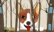 绝对不会背叛妻子的生肖男,即使双重桃花丛生,也不会娶两个女人!