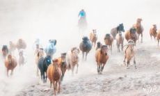 如何选择最优秀的生肖男配偶?从容易享受晚年福利的面相出发的探讨