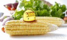 通过观察手相,能够预测鸡女和猴男的子女数量,想知道他们可能会有几个孩子?