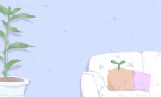 发现初恋缘分测试:揭示你未来初恋相遇的地点?