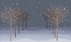 哪些星座最喜欢维持暧昧状态,不愿意表达自己的感情?