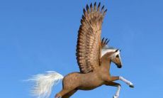 2023年属马者迎来双倍喜气缭绕,探究最赚钱的属马人生意经营攻略