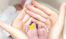 免费获取宝宝最佳起名大全!掌握2023年最具亮点女孩名字,让您的宝贝名字充满吉祥和好运!