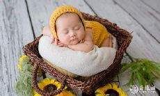 兔年女孩的智慧与涵养:探寻聪明有涵养的名字