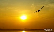 哪一天更适合于举行殡葬仪式——2023年4月29日或30日?