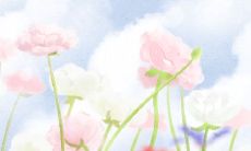 如果你生于民国时期,你可能会成为哪类女性呢?