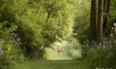 是否适宜在2023年兔年4月13日和14日为宝宝举办满月酒?