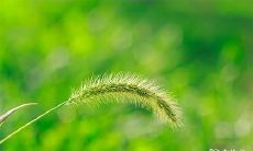 2023年3月28日及29日,本店将迎来盛大开张,期待您的到来!