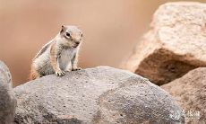 对于2023年3月25日、26日动土,作为兔年公历的这个时刻,我们是否可以期待到吉利的结果呢?