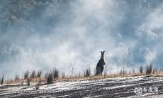 2023年兔年3月31日,是否可以开始动工呢?