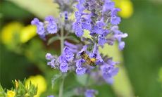 值得期待的购车盛宴——2023年3月27日和28日是否是最佳提车时间?