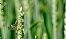 值得考虑的选项:购车、提车的最佳时间点与建议——2023年3月25日和26日是否切实可行?