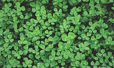 探讨2023年3月9日和3月10日的搬家可能性以及其是否具备实施的可行性