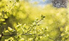 将来2023年兔年3月16日和3月17日选定它们的出殡日是否给予吉兆?