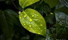 透过卜算与命理预测,2023年4月15日和4月16日被视为婚姻吉日吗?