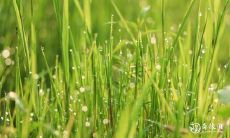 将来的2023年3月7日和3月8日是哪天?这两天可以进行婚礼吗?