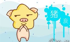 属猪与属马配对的爱情成功率有多高?