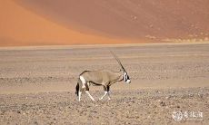 在2023年,3月13日及3月14日是否适宜作为订婚的宜日?